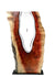 Live Edge Carob Wood with Handblown Clear Glass